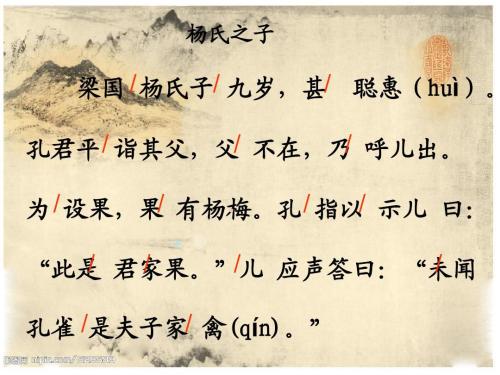 杨氏之子文言文翻译（杨氏之子的译文和道理） 第7张