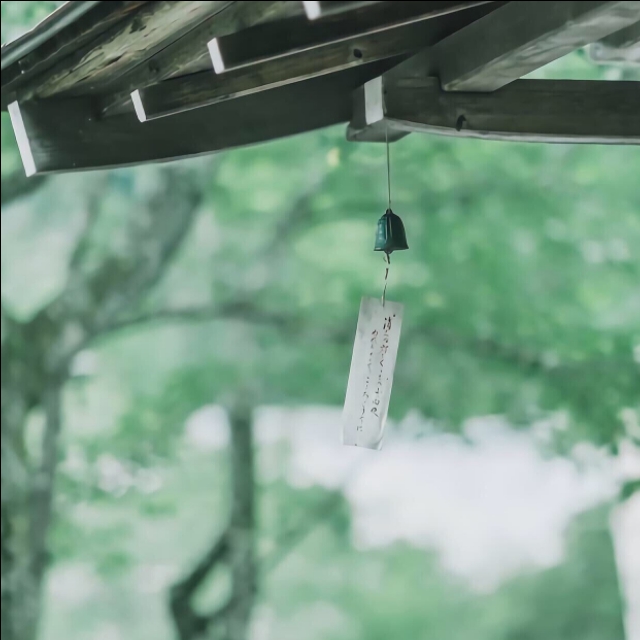 写景的优美句子摘抄（风景文章优美段落摘抄） 第3张
