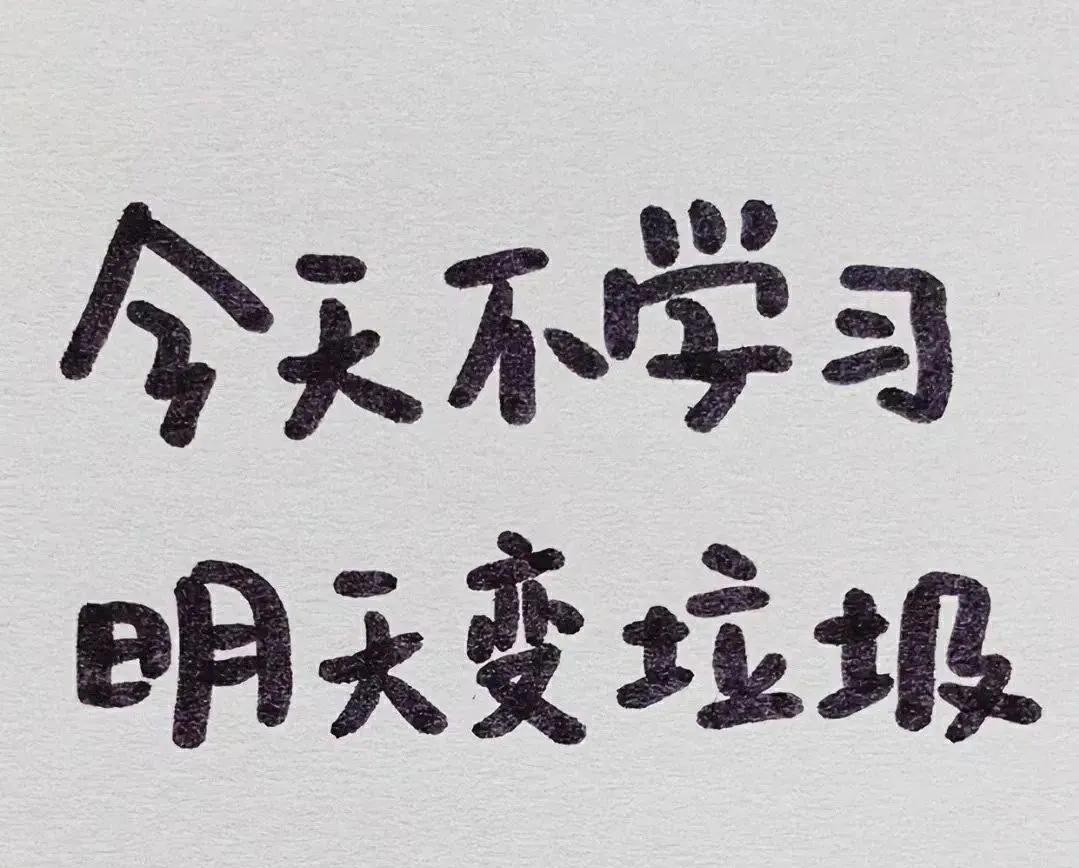 激励学生的名言警句（激励上进正能量句子） 第3张