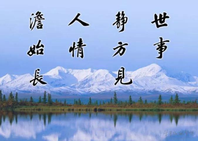 实践的名言警句（社会实践励志的句子） 第13张