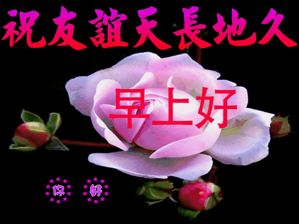 祝福别人事业上升的话（事业前景越来越好的精美句子） 第13张