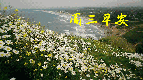 温馨祝福朋友的句子（最暖心的早安祝福语录） 第7张