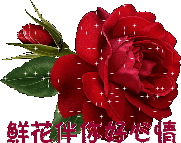 温馨祝福朋友的句子（最暖心的早安祝福语录） 第19张