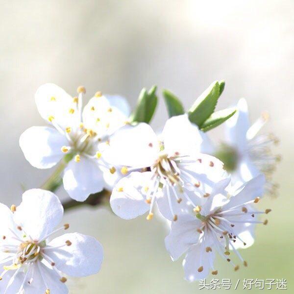 同学表达友情的句子简短的（珍惜一辈子同学情的句子） 第3张