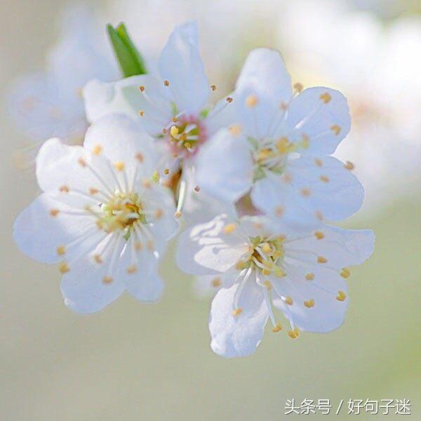 同学表达友情的句子简短的（珍惜一辈子同学情的句子） 第7张