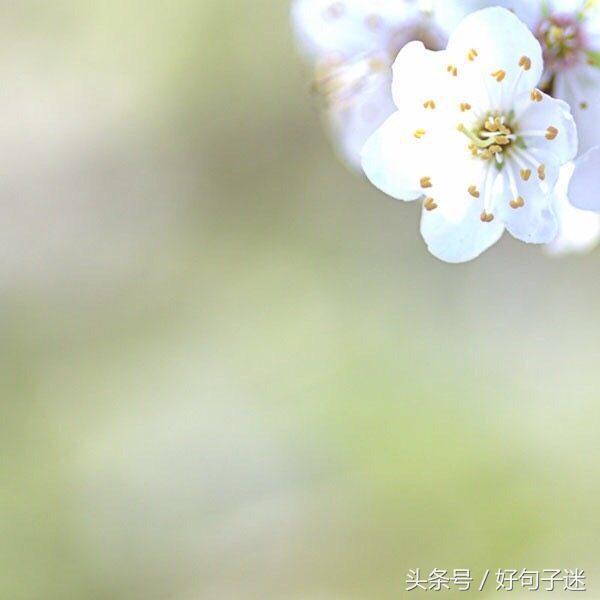 同学表达友情的句子简短的（珍惜一辈子同学情的句子） 第11张