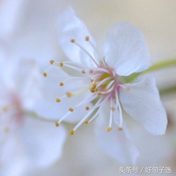 同学表达友情的句子简短的（珍惜一辈子同学情的句子） 第13张