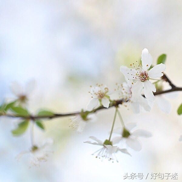 同学表达友情的句子简短的（珍惜一辈子同学情的句子） 第17张
