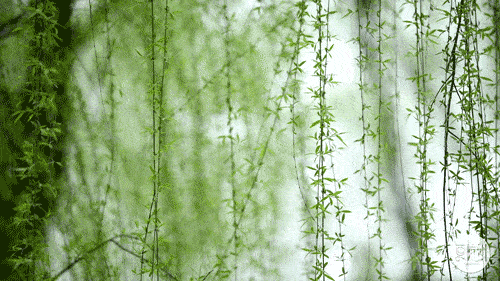 描写春天的优美古文（107条赞美春景的唯美诗句） 第7张