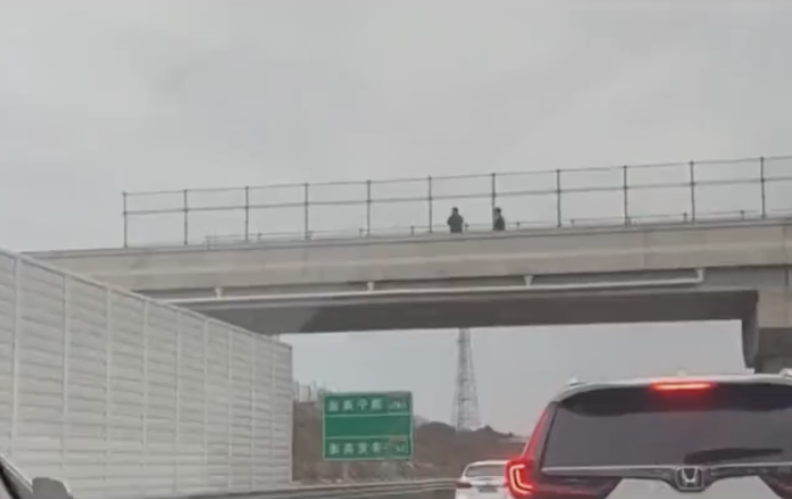 拍违规车辆收入就达到几千？这种职业你想的到吗，网友：去哪提交 第9张