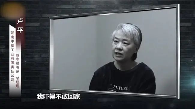 湖南“千亿女烟王”卢平落马记 第35张