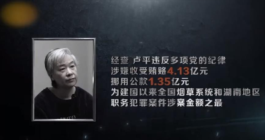 湖南“千亿女烟王”卢平落马记 第39张