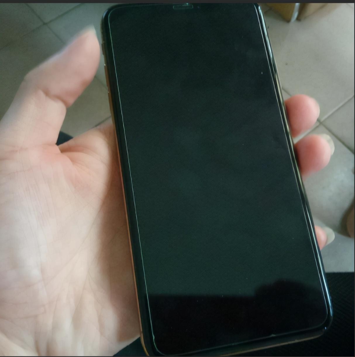 苹果12黑屏看不见但有反应怎么办（iPhone12黑屏解决方法） 第1张