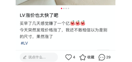 LV又涨价了！奢侈品行业“涨声一片”，年轻人直呼：比我的股票还涨得快 第5张