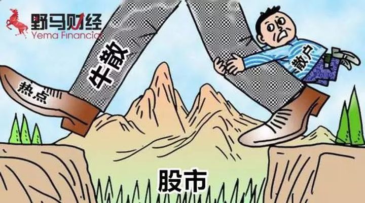 马信琪，8亿身家是如何炼成的？￼ 第1张