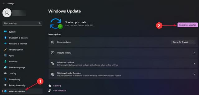 windows11搜索栏不能输入怎么办（windows10左下角搜索不能用） 第7张