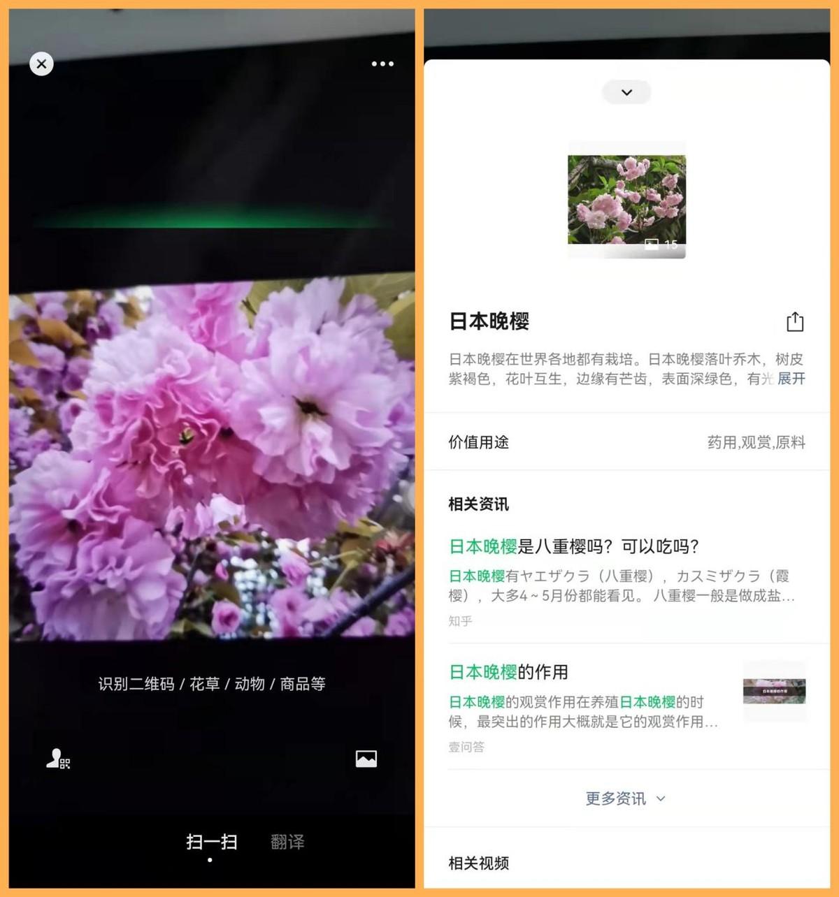 扫一扫识别物品如何设置（微信扫一扫识物功能详解） 第7张
