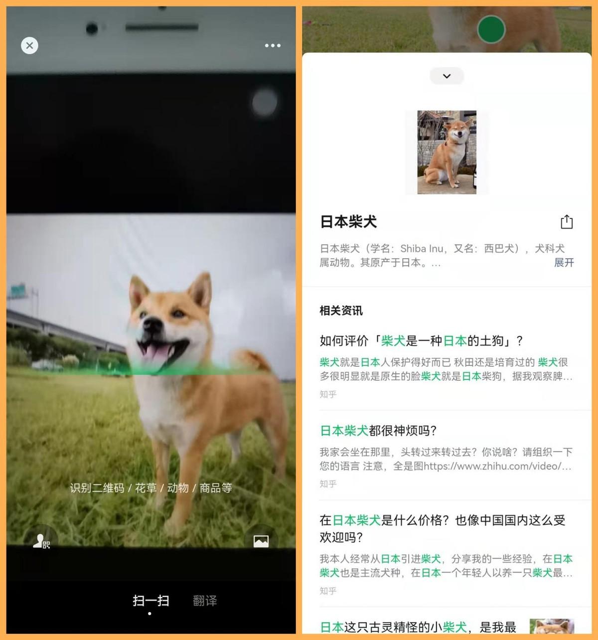 扫一扫识别物品如何设置（微信扫一扫识物功能详解） 第9张