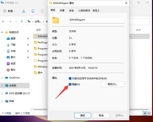 Win11怎样查看隐藏文件（怎么打开c盘隐藏文件） 第7张