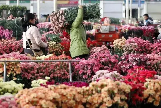 10年来最贵玫瑰花，谁成了被割的韭菜？ 第9张