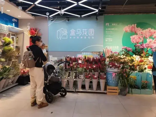 10年来最贵玫瑰花，谁成了被割的韭菜？ 第11张
