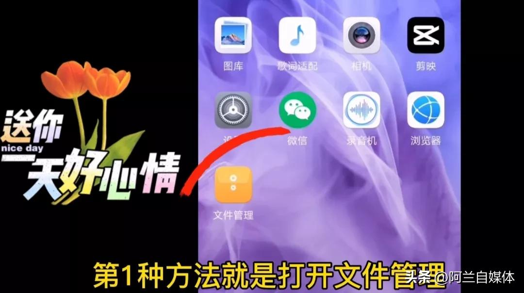 手机相册视频彻底删除了还能恢复吗（相册被删除两种方法快速找回） 第5张