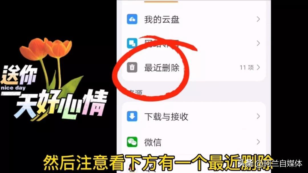 手机相册视频彻底删除了还能恢复吗（相册被删除两种方法快速找回） 第7张