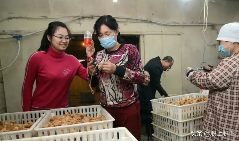 农村未婚男4000万，单身女都嫁到城市了吗？农村婚恋四大趋势揭秘 第15张