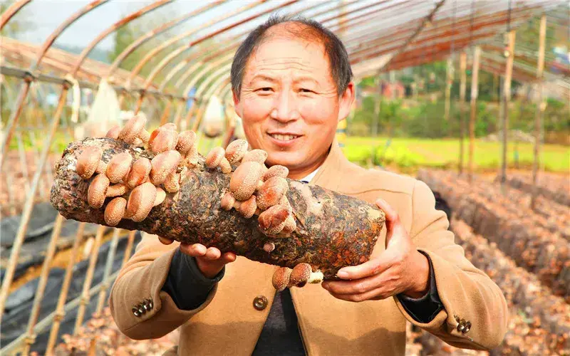 今年在农村创业，种植业方面，有哪些可以大力发展的项目？ 第5张
