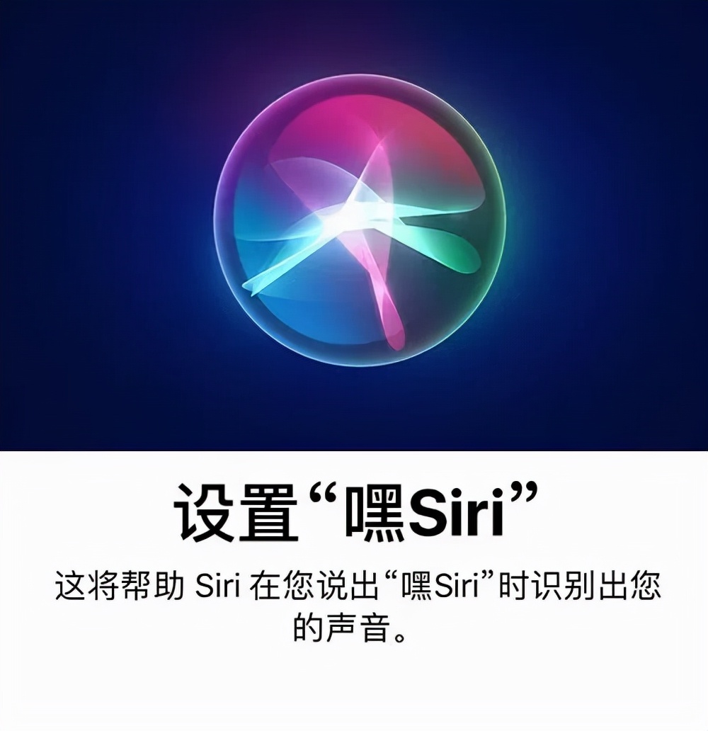 苹果浏览器英文为什么叫Safari？Siri又是啥意思？ 第15张