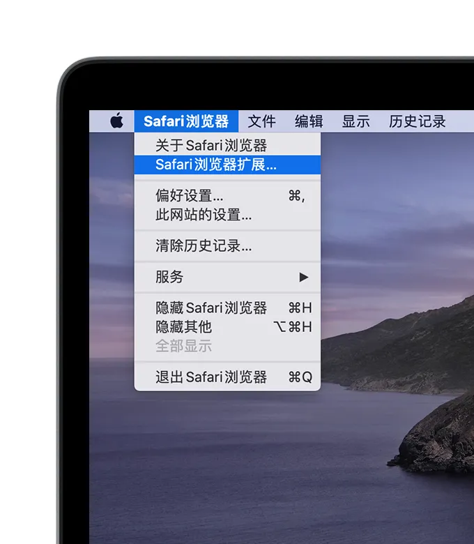 Safari也能上插件，苹果手机用户终于不用馋电脑了户 第5张