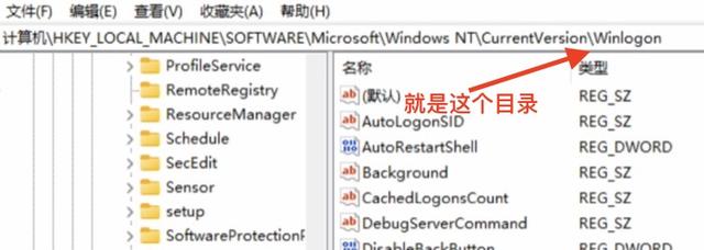 Win11如何设置自动登录（如何设置windows自动登录） 第13张