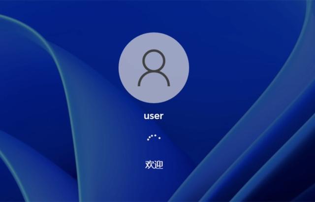 Win11如何设置自动登录（如何设置windows自动登录） 第37张