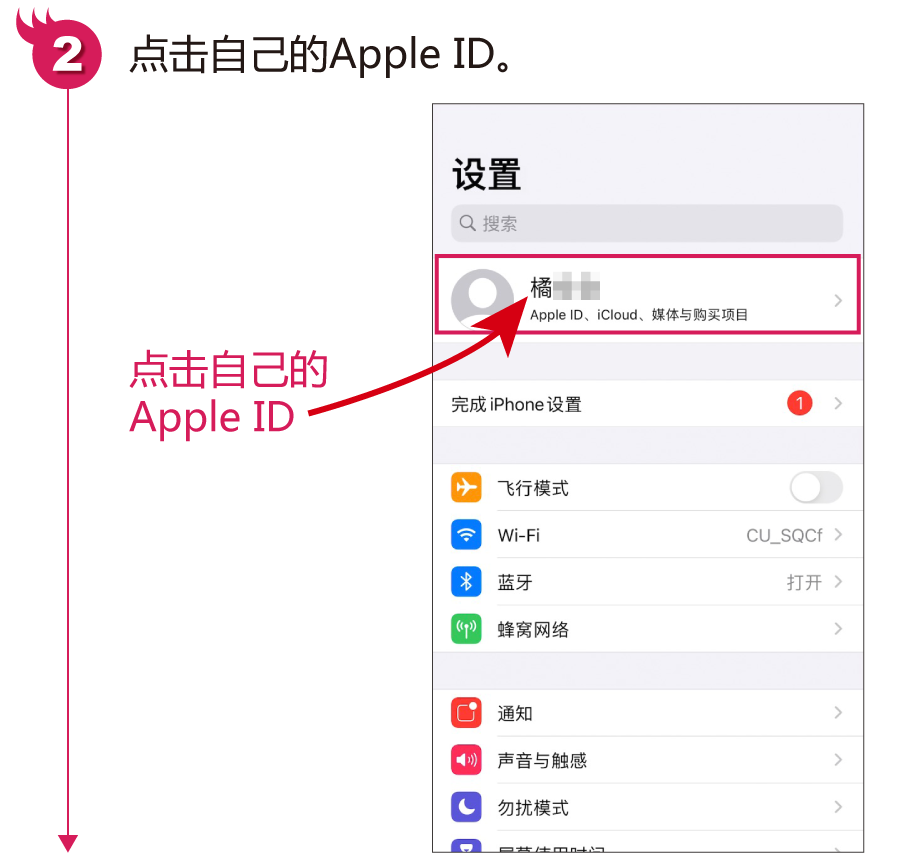 苹果手机怎么退出apple id账号（快速退出Apple ID的方法） 第5张