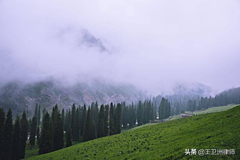 林地修路土地补偿标准（关于山林地征收补偿规定） 第1张