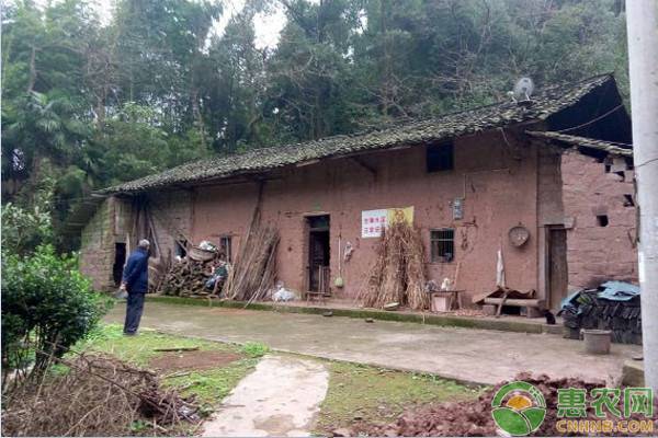 农村房屋征收后地基是否赔偿（国有土地宅基地补偿标准） 第3张