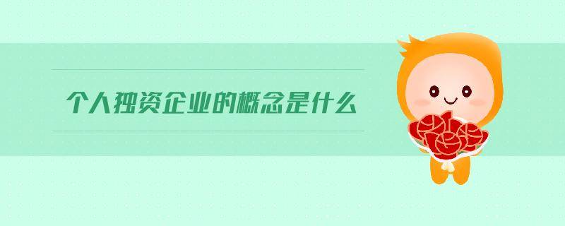 一般企业经济性质分类标准（简述公司企业类型） 第11张