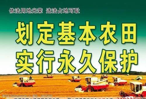 非法占地被判刑，保护土地新举措？农民该注意什么？ 第5张