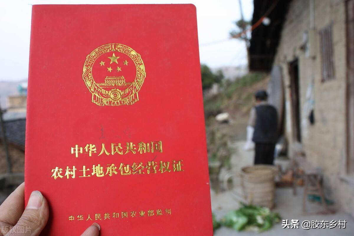 农村宅基地新政策一户多少平方（关于宅基地的法律规定） 第1张