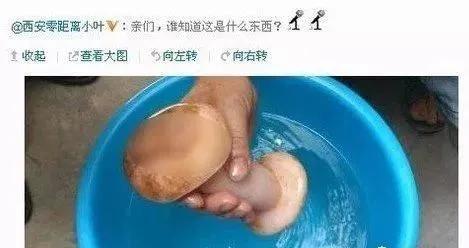 女记者太岁事件什么梗？都市快报女记者跟太岁是什么梗? 第69张