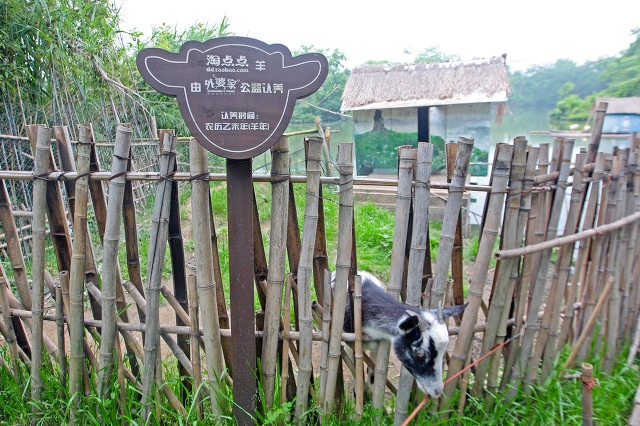 杭州旅游十大必去打卡景点 第143张