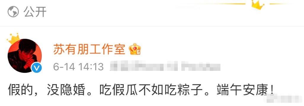 47岁苏有朋被曝密婚十年，女方是白富美经纪人，工作室辟谣：假的 第23张