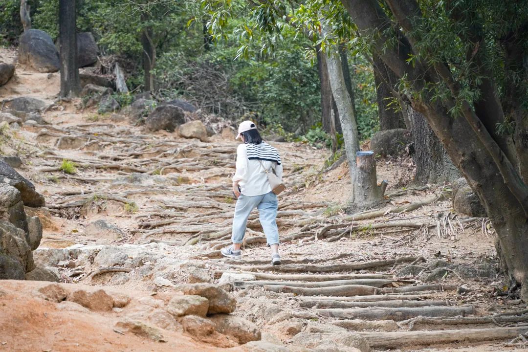 深圳必须去的50个地方，你去过几个？ 第101张