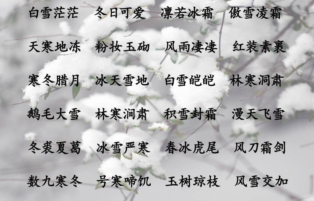 春夏秋冬的四字词语（关于春夏秋冬的四字词语） 第7张