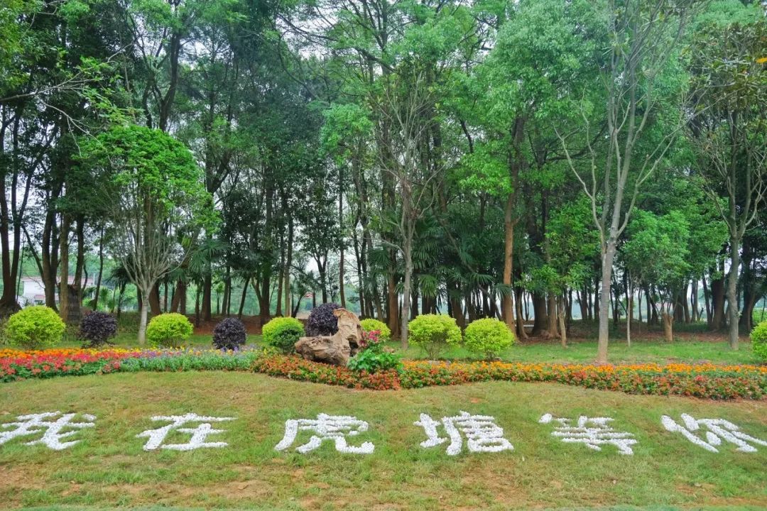 藏不住了！长沙县这15个新晋“宝藏地”，五一出游正合适 第27张