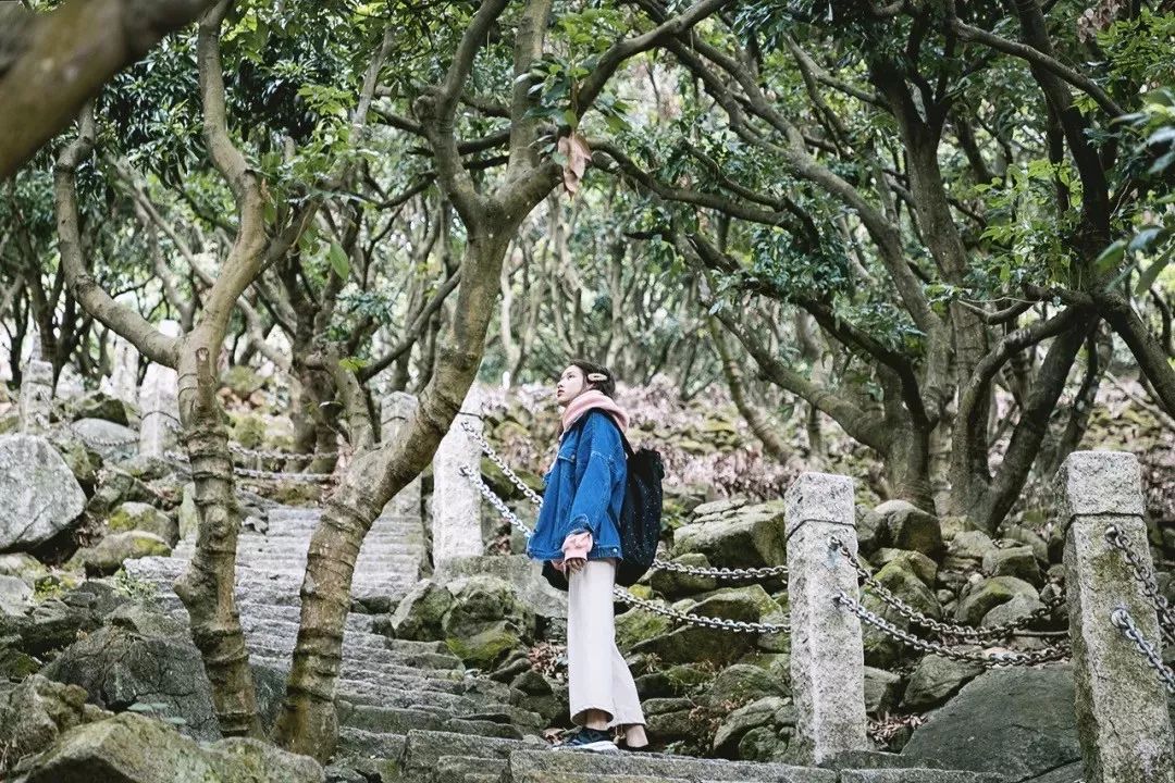 深圳必须去的50个地方，你去过几个？ 第45张
