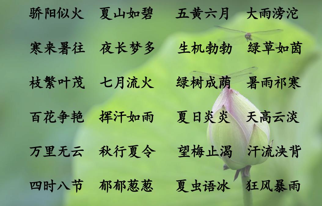 春夏秋冬的四字词语（关于春夏秋冬的四字词语） 第3张