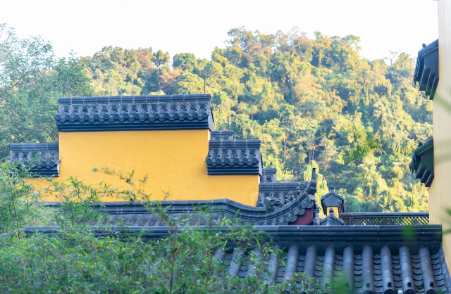 杭州旅游十大必去打卡景点 第39张