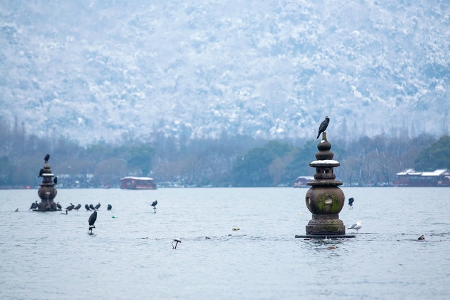 杭州旅游十大必去打卡景点 第13张