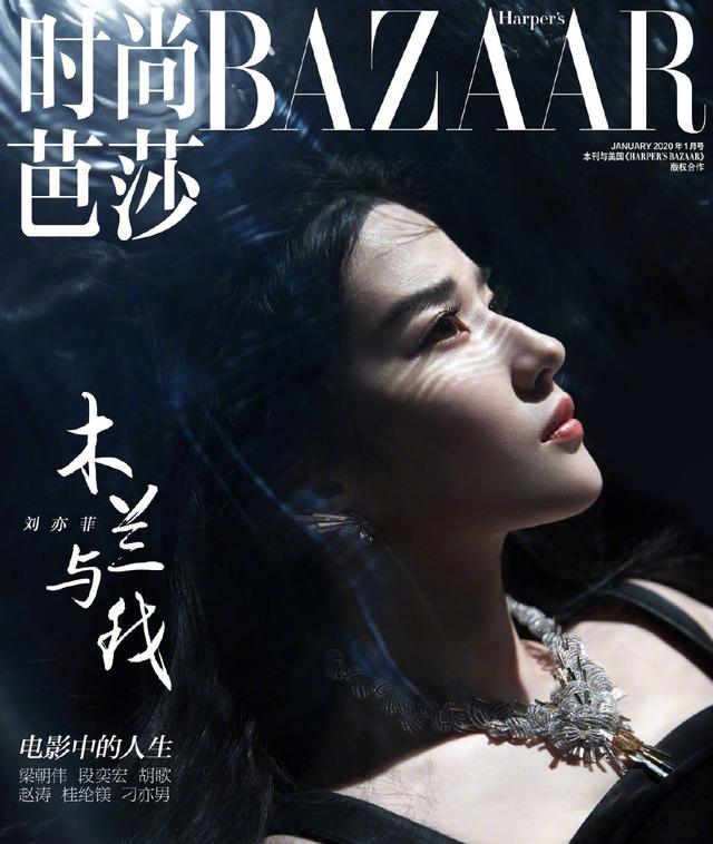 刘亦菲：梦华录前她只演过4部剧且未满18，为何能拥有百亿身家？ 第45张